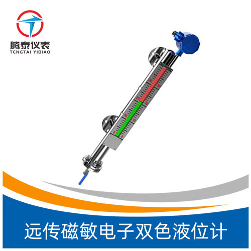 <b>遠(yuǎn)傳磁敏電子雙色液位計</b>