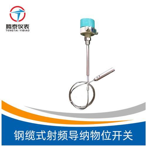 鋼纜式射頻導(dǎo)納物位開(kāi)關(guān)